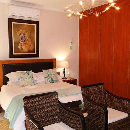 Bed and Breakfast The Leopard Tree Polokwane Zewnętrze zdjęcie