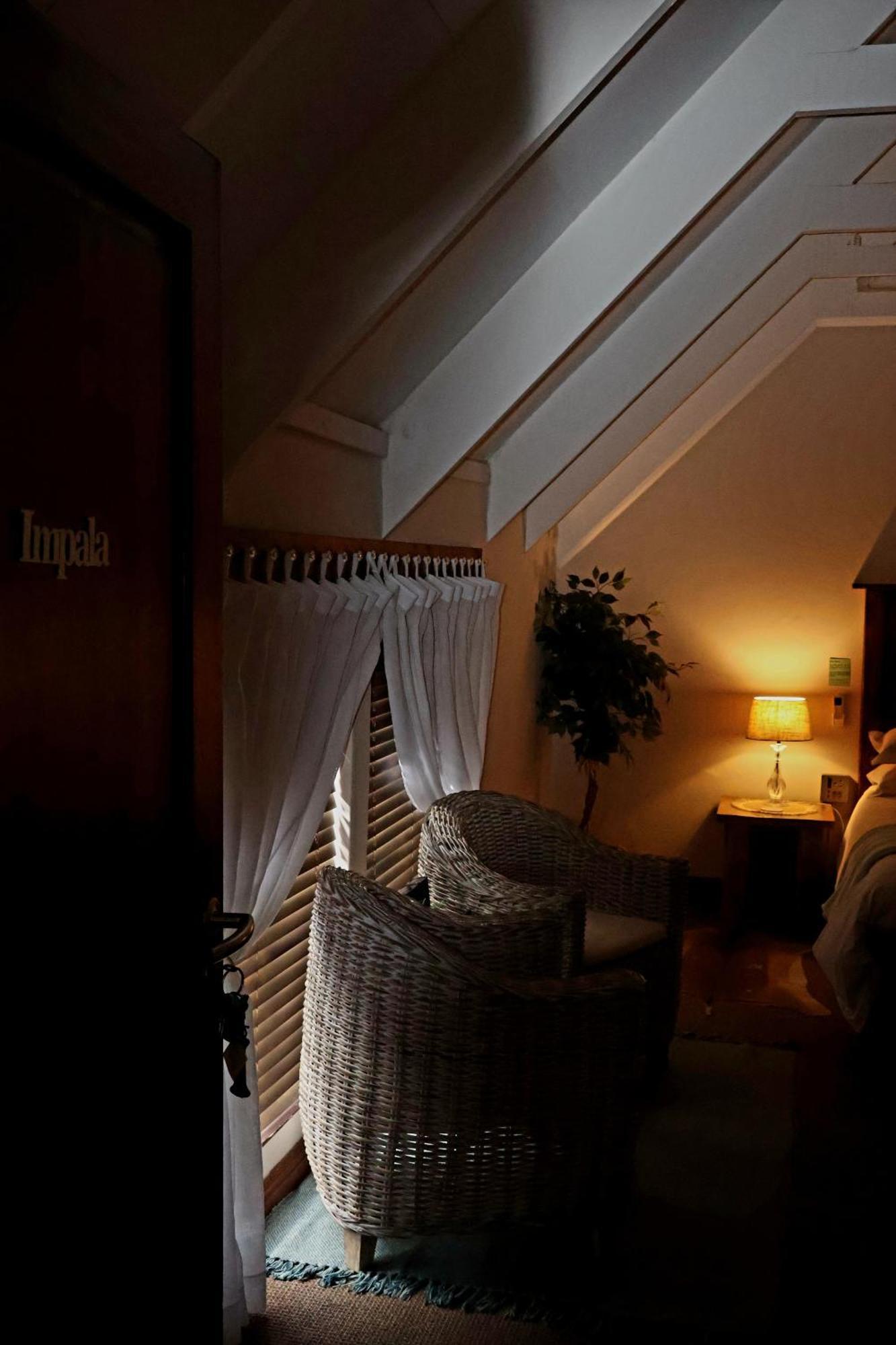 Bed and Breakfast The Leopard Tree Polokwane Zewnętrze zdjęcie